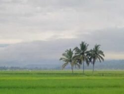 Suhu Sumbar 17–30°C, Angin 7–19 km/jam