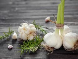 Kenali Tanda Bawang Putih Busuk dan Perbedaannya dengan yang Bertunas