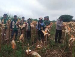 Ketahanan Pangan Desa Jadi Fokus Polsek Tanjung Batu