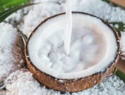 Daftar Bahan Pengganti Santan yang Tetap Memberikan Rasa Gurih pada Masakan