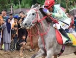 Pacu Kudo Padang Pariaman Meledak! Rp6 Miliar Berputar Ribuan Pengunjung Tumpah