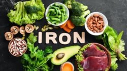 Zat Besi Penting untuk Tubuh, Ini Sumber Heme dan Non-Heme yang Wajib Diketahui