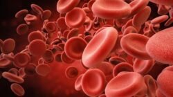 Cara Mengatasi Hb Rendah Agar Kembali Normal dan Sehat