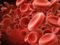 Cara Mengatasi Hb Rendah Agar Kembali Normal dan Sehat