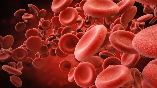 Ada sejumlah hal yang terjadi pada tubuh jika kadar Hb atau hemoglobin rendah di dalam tubuh.