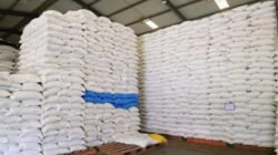 Cadangan Pangan RI Melimpah, Produksi Beras Capai 5,7 Juta Ton per Bulan