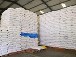 Cadangan Pangan RI Melimpah, Produksi Beras Capai 5,7 Juta Ton per Bulan