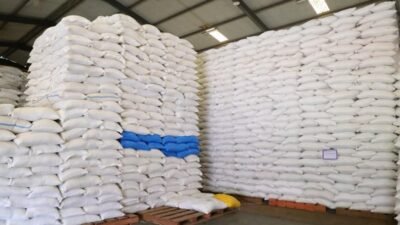 Cadangan Pangan RI Melimpah, Produksi Beras Capai 5,7 Juta Ton per Bulan