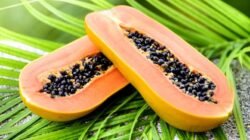 Pencernaan Sehat Dimulai dari Pola Makan, Ini Rekomendasi Makanannya