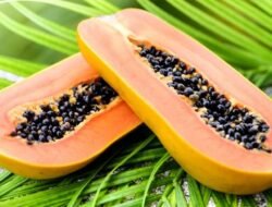 Pencernaan Sehat Dimulai dari Pola Makan, Ini Rekomendasi Makanannya