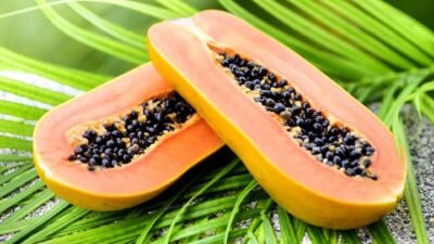 Pencernaan Sehat Dimulai dari Pola Makan, Ini Rekomendasi Makanannya