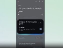 Google Translate Dipakai Miliaran Orang, Kini Rilis Fitur Latihan Bicara