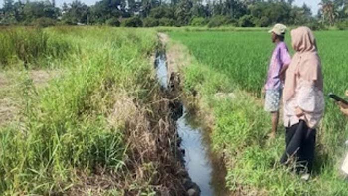 Salah satu titik kerusakan saluran irigasi di Pauh Timur Kota Pariaman.
