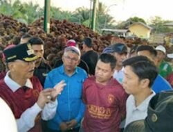 Pemkab Pessel dan Perusahaan Sawit Bahas Harga TBS, Bupati Ingin Tak Kalah dari Daerah Lain