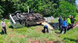 Mobil pikap Isuzu Traga terguling ke area perkebunan kelapa sawit.