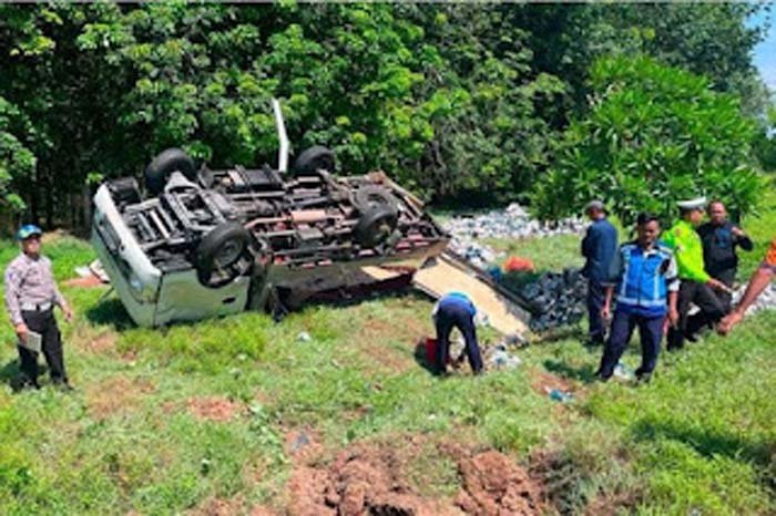 Mobil pikap Isuzu Traga terguling ke area perkebunan kelapa sawit.