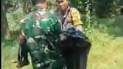Petugas mengevakuasi jasad bocah laki-laki yang diserang anjing.