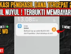 Instapop Viral! Ketahui Cara Mengumpulkan Poin dan Mencairkannya ke DANA