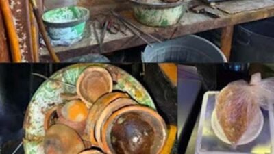 Empat Tersangka Tambang Emas Ilegal Diamankan