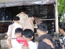 Bolos Sekolah, Belasan Pelajar Dibina Satpol PP