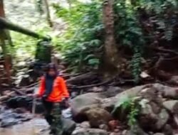 BPBD Sisir Hutan Unand Cari Pria Hilang