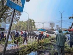 Libur Sekolah Diwarnai Cuaca Ekstrem, Pemko Padang Minta Wisatawan Jauhi Bibir Pantai