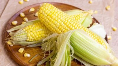 Suka Makan Jagung Mentah? Kenali Manfaat dan Risikonya