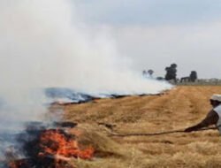 Kabut Asap Pengaruhi Udara, Pemkab Padang Pariaman Ingatkan Warga Patuhi Larangan Bakar Sampah