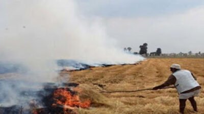 Kabut Asap Pengaruhi Udara, Pemkab Padang Pariaman Ingatkan Warga Patuhi Larangan Bakar Sampah