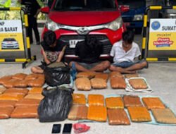 44 Kg Ganja Gagal Masuk Sumbar