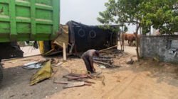 Tabrak Truk Sapi, Bus di Jombang Melarikan Diri