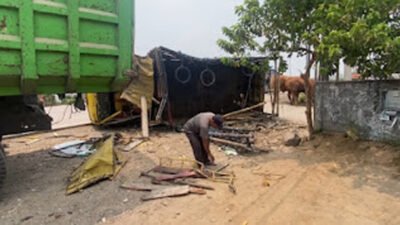 Tabrak Truk Sapi, Bus di Jombang Melarikan Diri