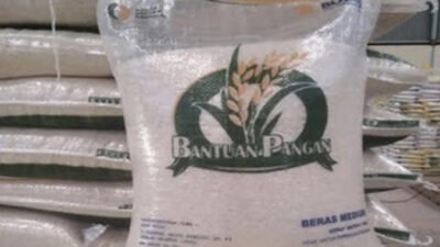 Zulkifli Hasan Pastikan Bantuan Beras Gratis untuk Desil 1–4