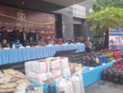 Lima Kasus Kejahatan SDA Terungkap, Polisi Tetapkan 11 Tersangka