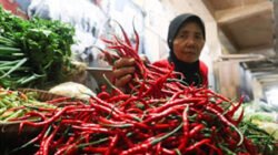 Harga Pangan di Padang Stabil, Cabai Masih Fluktuatif
