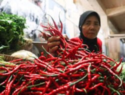 Harga Pangan di Padang Stabil, Cabai Masih Fluktuatif