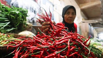 Harga Pangan di Padang Stabil, Cabai Masih Fluktuatif