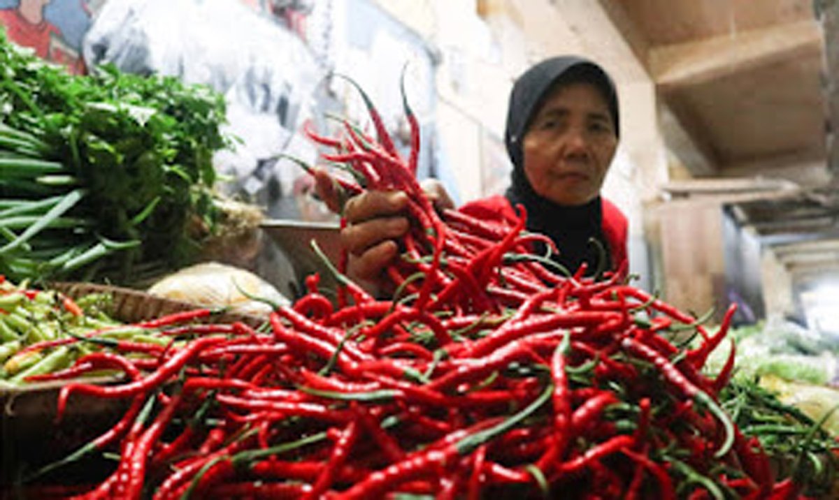 Harga cabai