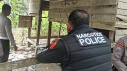 Polres Dharmasraya Gerebek Pondok Narkoba di Kebun Sawit